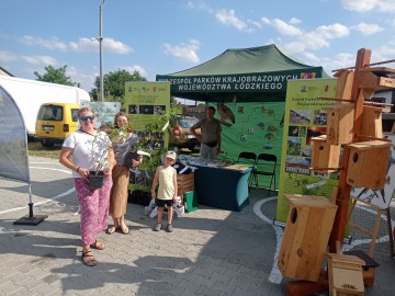 Relacja z Rodzinnego Pikniku w Jeżowie, 